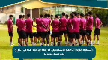 «تشكيلة قوية» قائمة الإسماعيلى مواجهة بيراميدز غدا في الدوري بمنافسة محتدمة